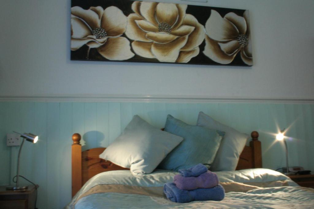 Devon View Guesthouse Swansea Phòng bức ảnh