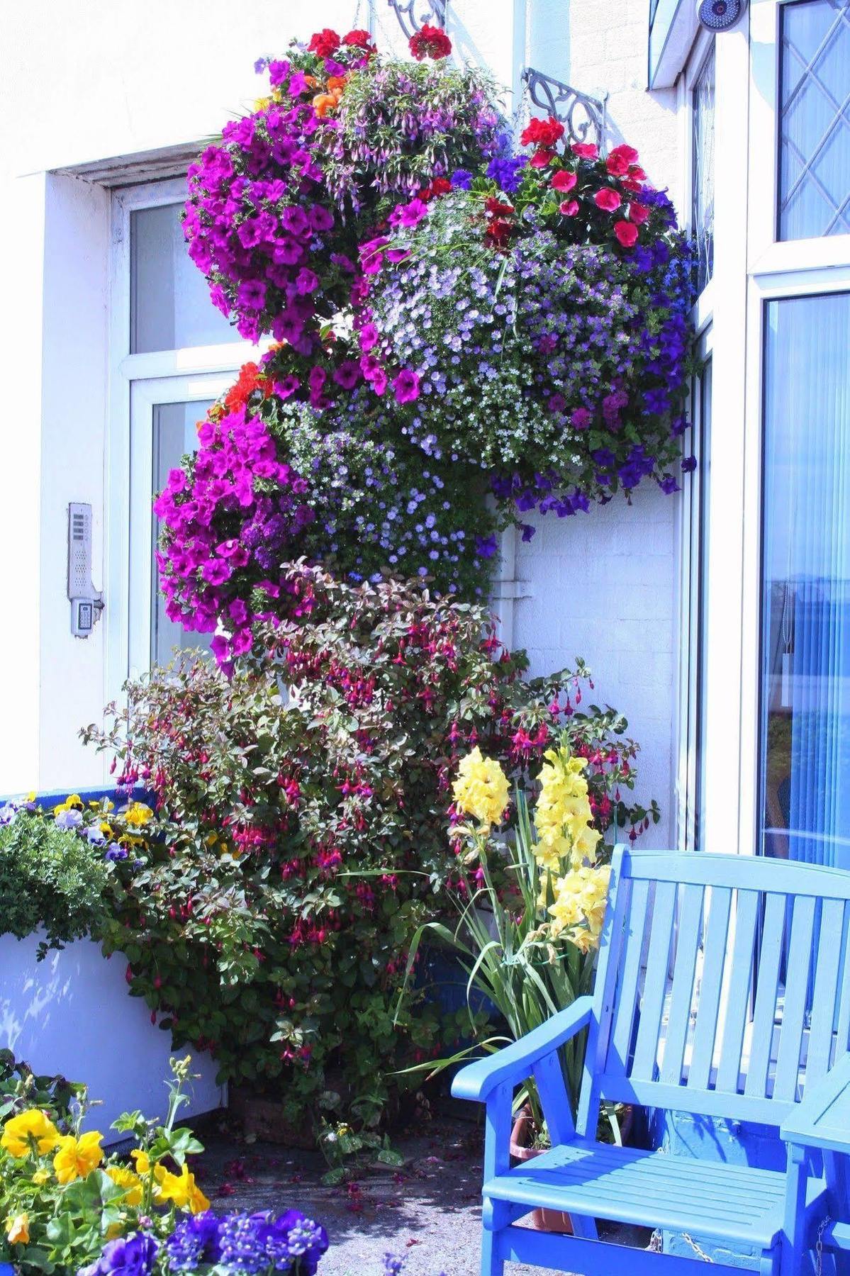 Devon View Guesthouse Swansea Ngoại thất bức ảnh